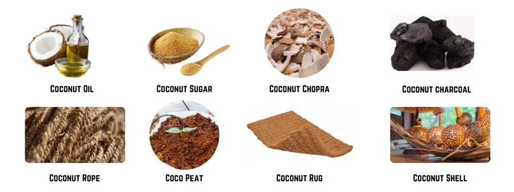 Coconut Oil (1)